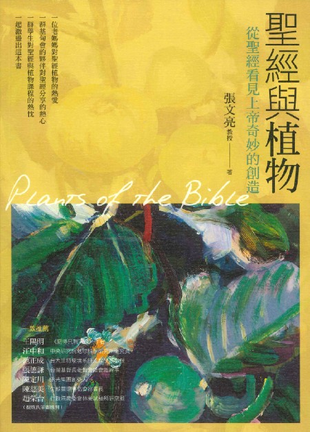 Book Preview